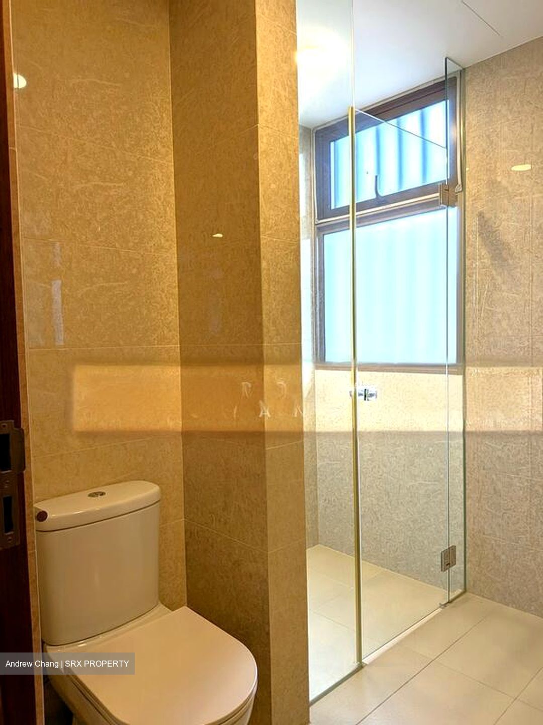 The Whitley Residences (D11), Terrace #502526871